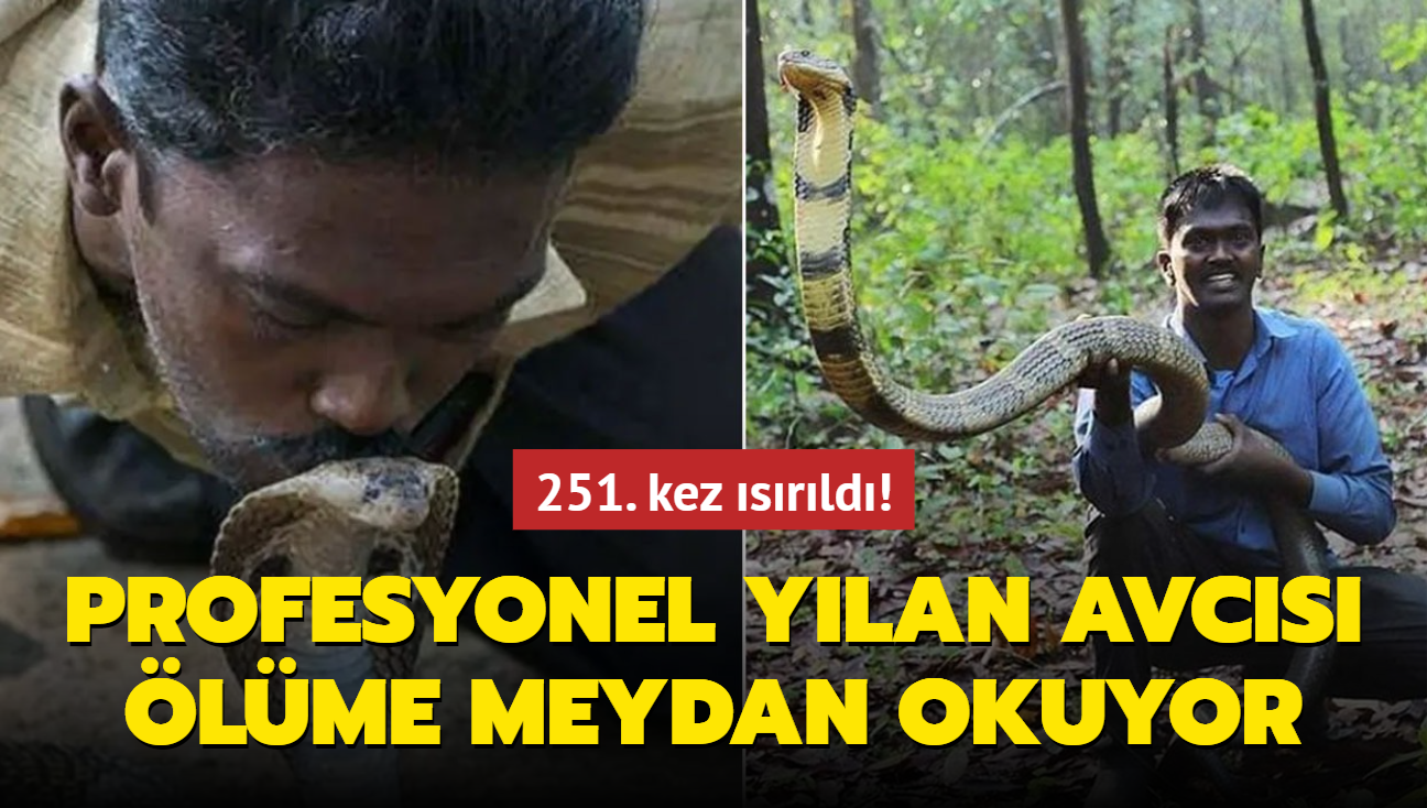 'Kerala'nn Ylan Adam' 251. kez srld! Profesyonel ylan avcs lme meydan okuyor