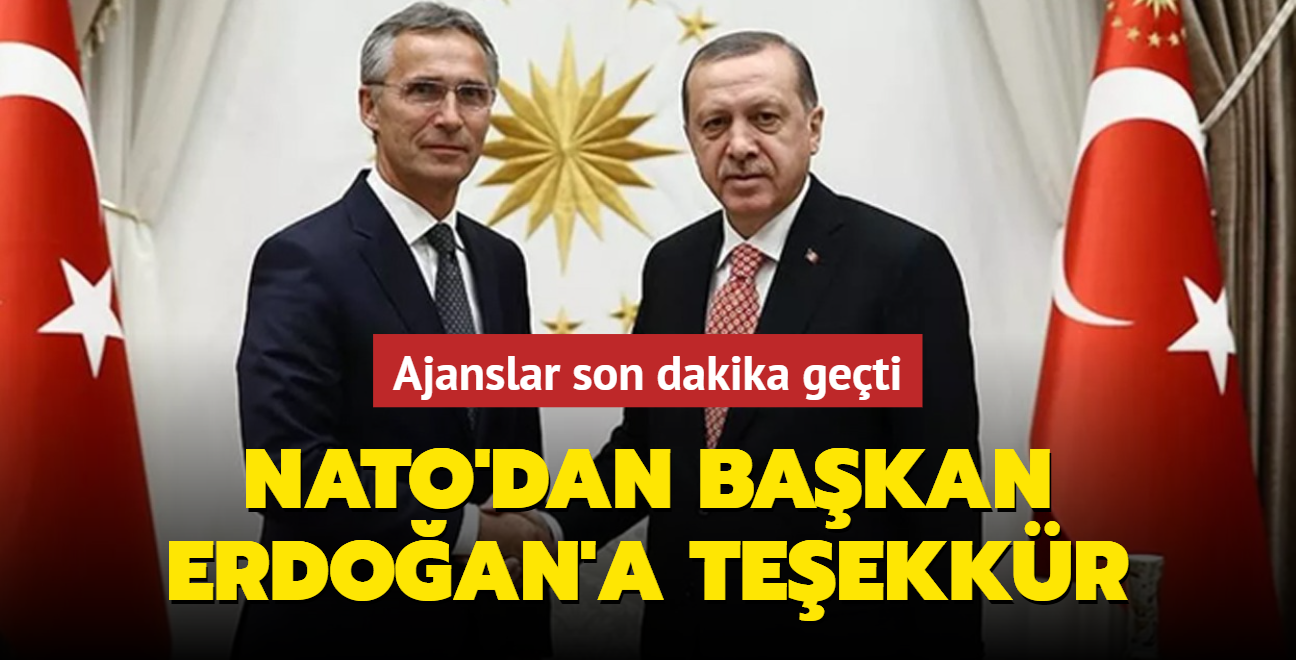 NATO Genel Sekreteri Stoltenberg'ten Bakan Erdoan'a teekkr