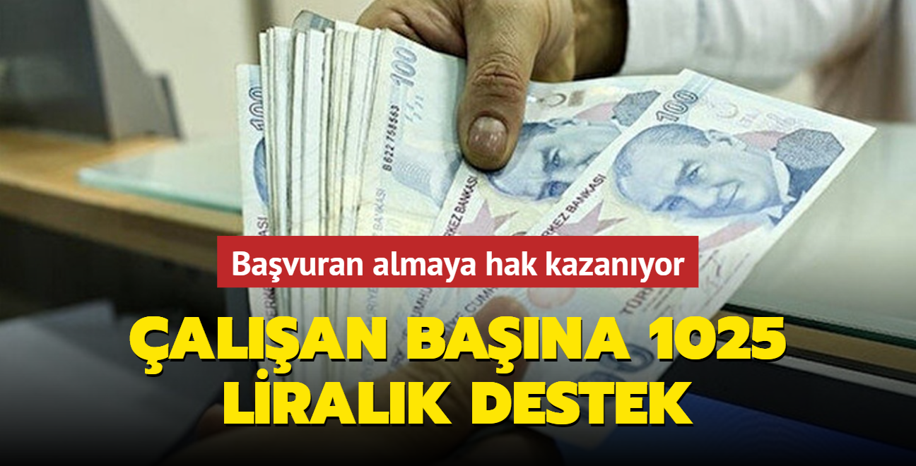 alan bana 1025 liralk destek! Bavuran almaya hak kazanyor