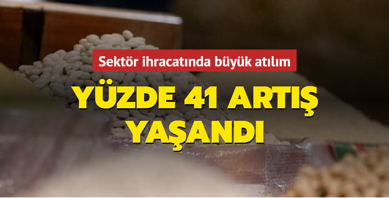 Sektr ihracatnda byk atlm... Yzde 41 art yaand