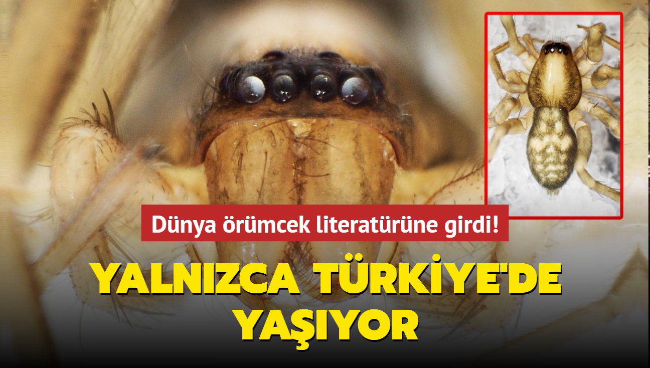 Yalnzca Trkiye'de yayor... Dnya rmcek literatrne girdi!