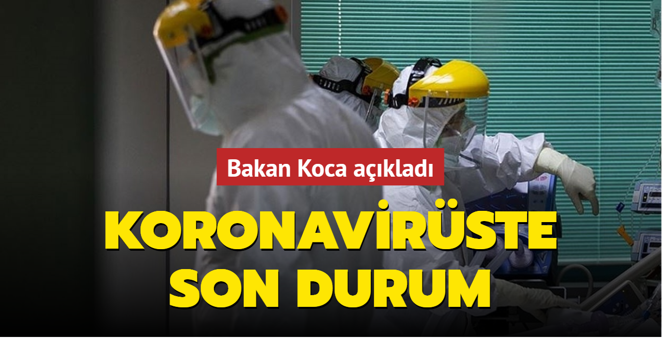 11 ubat corona virs tablosu akland