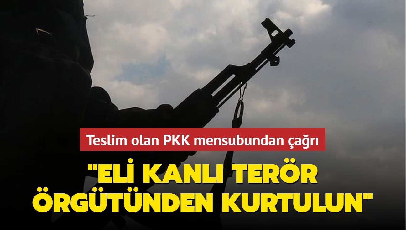 Teslim olan PKK mensubundan ar: Eli kanl terr rgtnden kurtulun