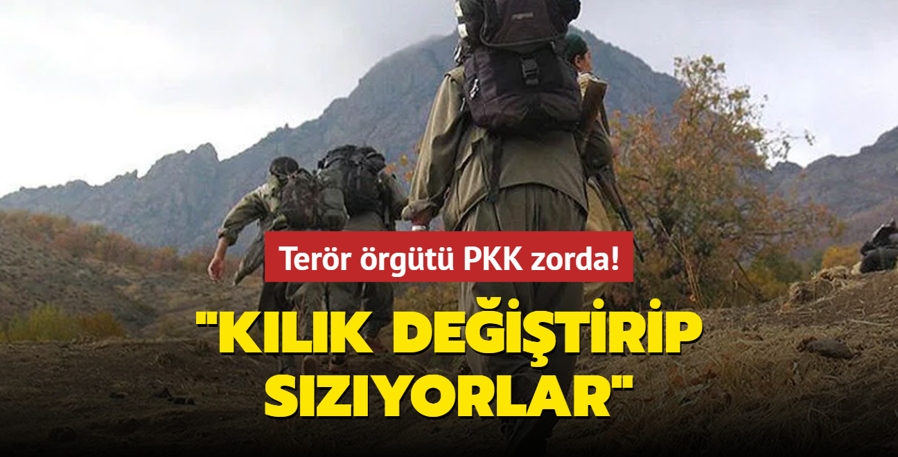 TSK'nn operasyonlar terr rgt PKK'y zora soktu! "Klk deitirip szyorlar"