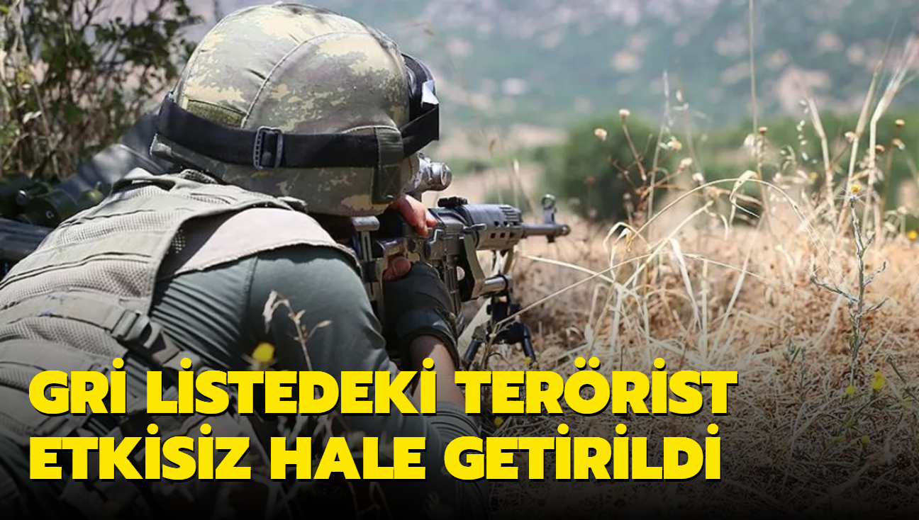 Gri listedeki terrist Betl Diler etkisiz hale getirildi