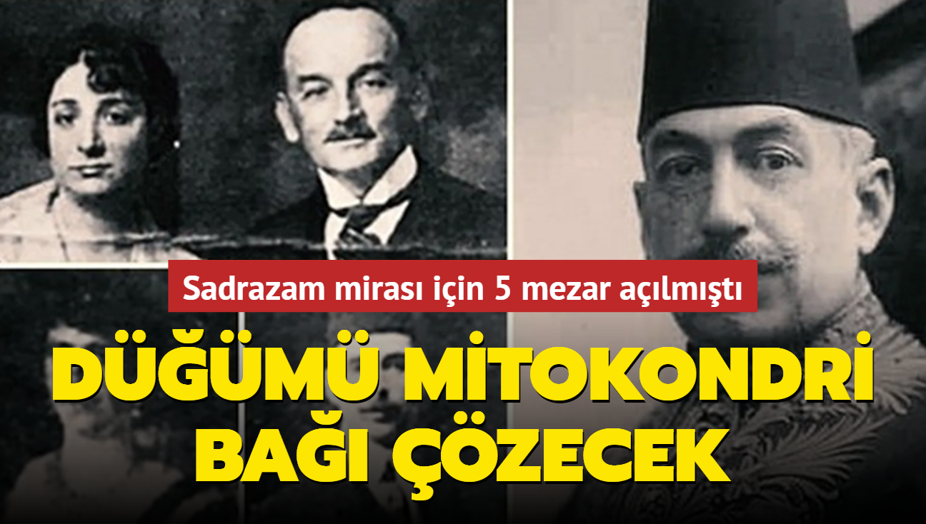 100 milyon TL'lik sadrazam miras iin 5 mezar almt: Dm Mitokondri ba zecek