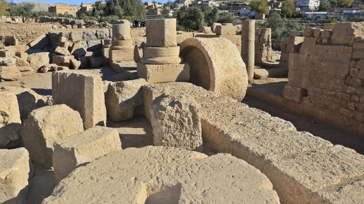 Mardin'de yaplan kazlar ortaya kard... Dara'da tarihi zeytin ticareti
