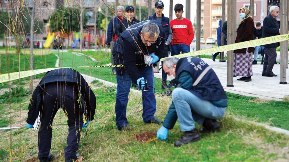 'Platonik ak'n sonu kskanlk cinayeti