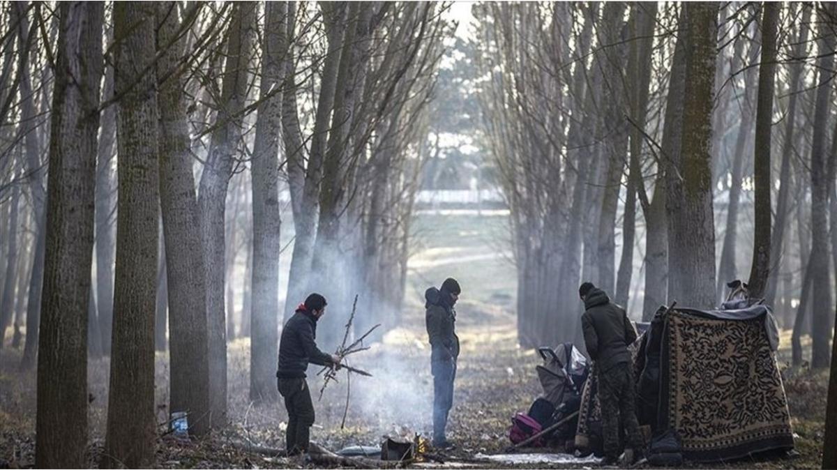 Krklareli'nde ormanlk alanda kaybolan 19 gmen AFAD ve jandarma ekiplerince bulundu