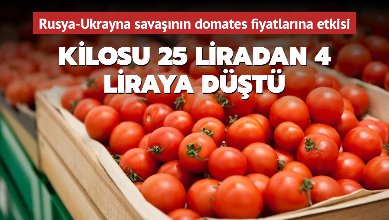 Rusya-Ukrayna sava domates fiyatlarna yansd: Kilosu 25 liradan 4 liraya dt