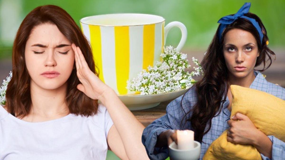 Rahatlatan en popüler 5 bitki çayı! Baş ağrısı ve uykusuzluğa birebir