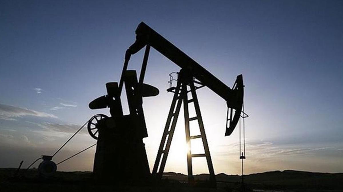 ABD'den Rus petrolnn yasaklanmasn destek