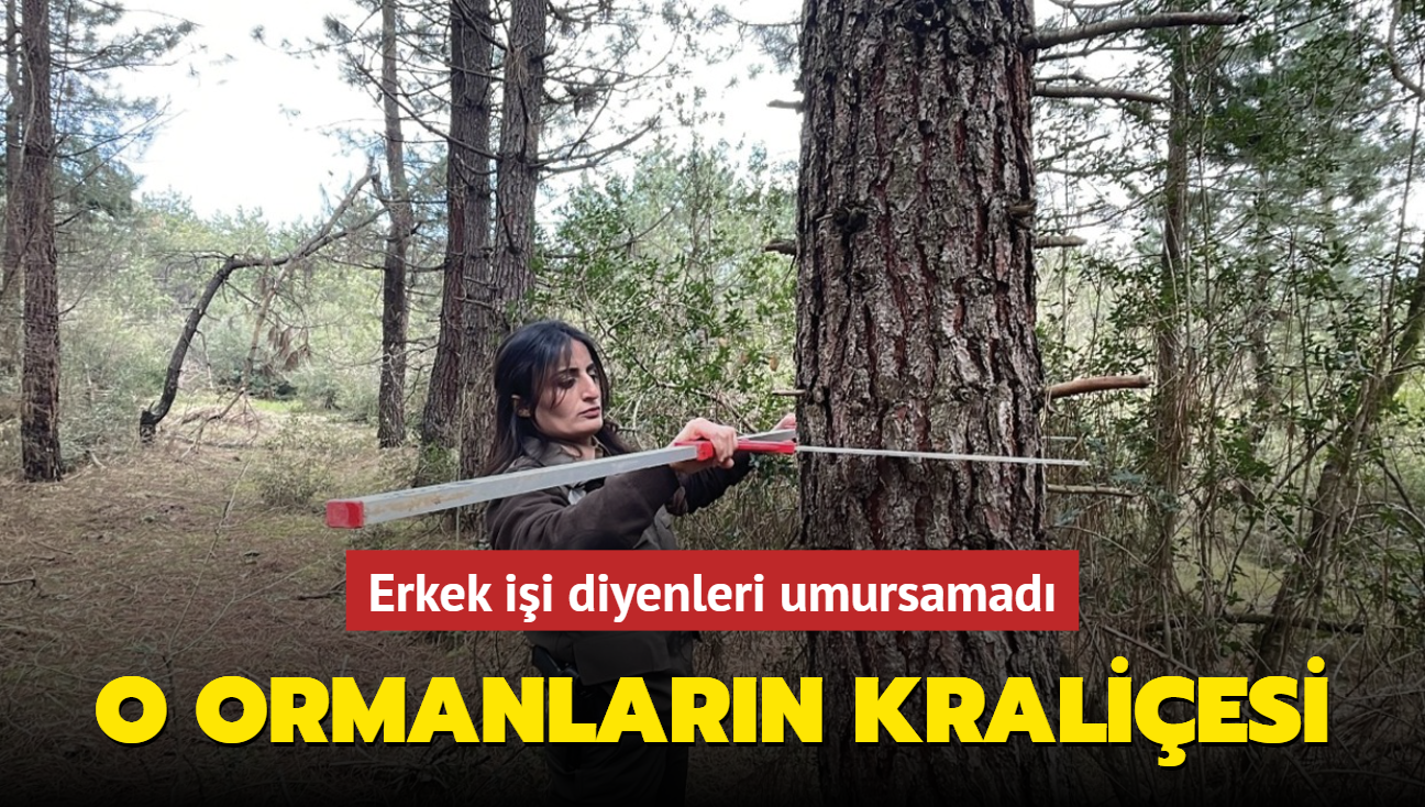 Erkek ii diyenleri umursamad! O ormanlarn kraliesi