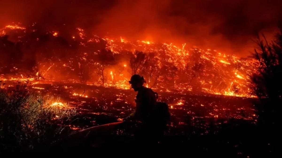 Güney Kore'de çıkan yangın ormanlık alana büyük zarar verdi!