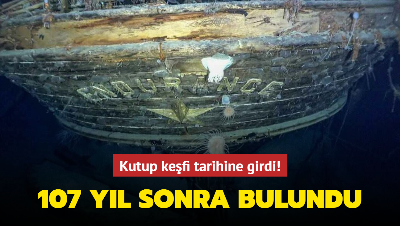 Kutup kefi tarihine girdi! 107 yl sonra bulundu