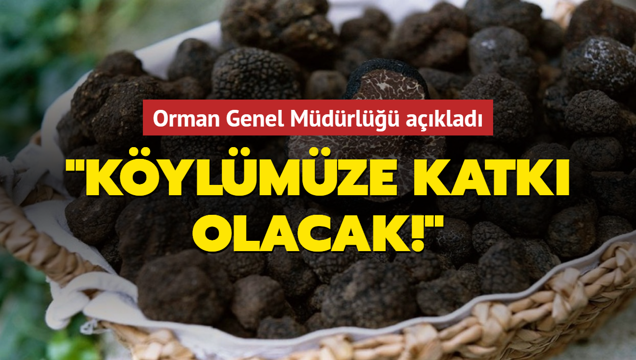 Orman Genel Mdrl aklad: Kylmze katk olacak!