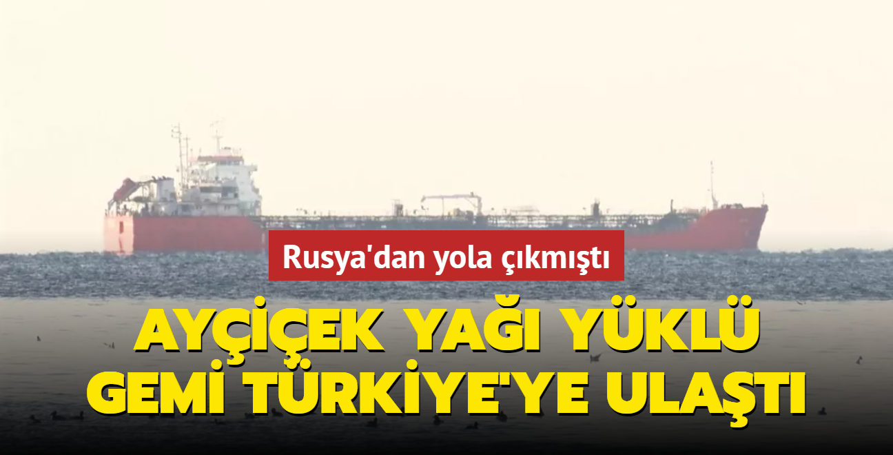 Rusya'dan yola kmt... Tonlarca ayiek ya ykl gemi Trkiye'ye ulat