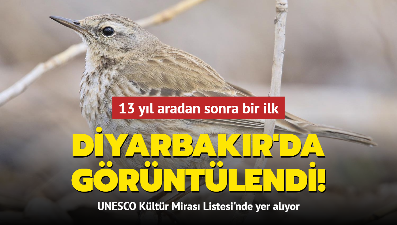 13 yl aradan sonra bir ilk... Diyarbakr'da grntlendi! UNESCO Kltr Miras Listesi'nde yer alyor