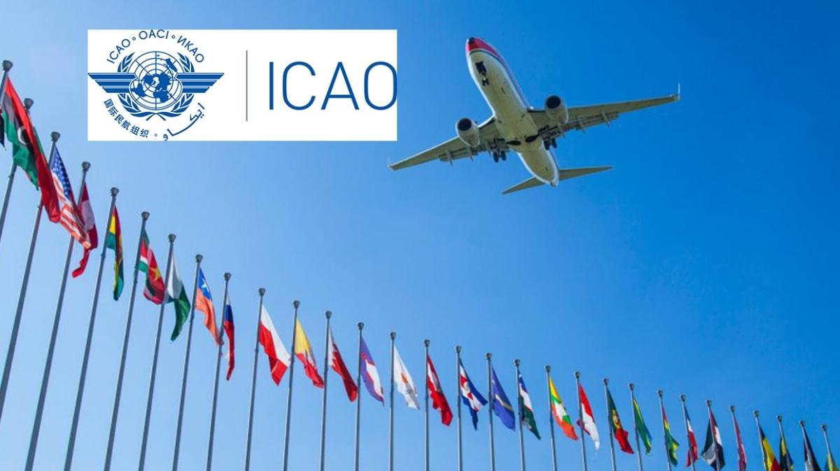 Avustralya ve Hollanda'dan Rusya'ya karşı dava: Uluslararası Sivil Havacılık Örgütüne başvurdular