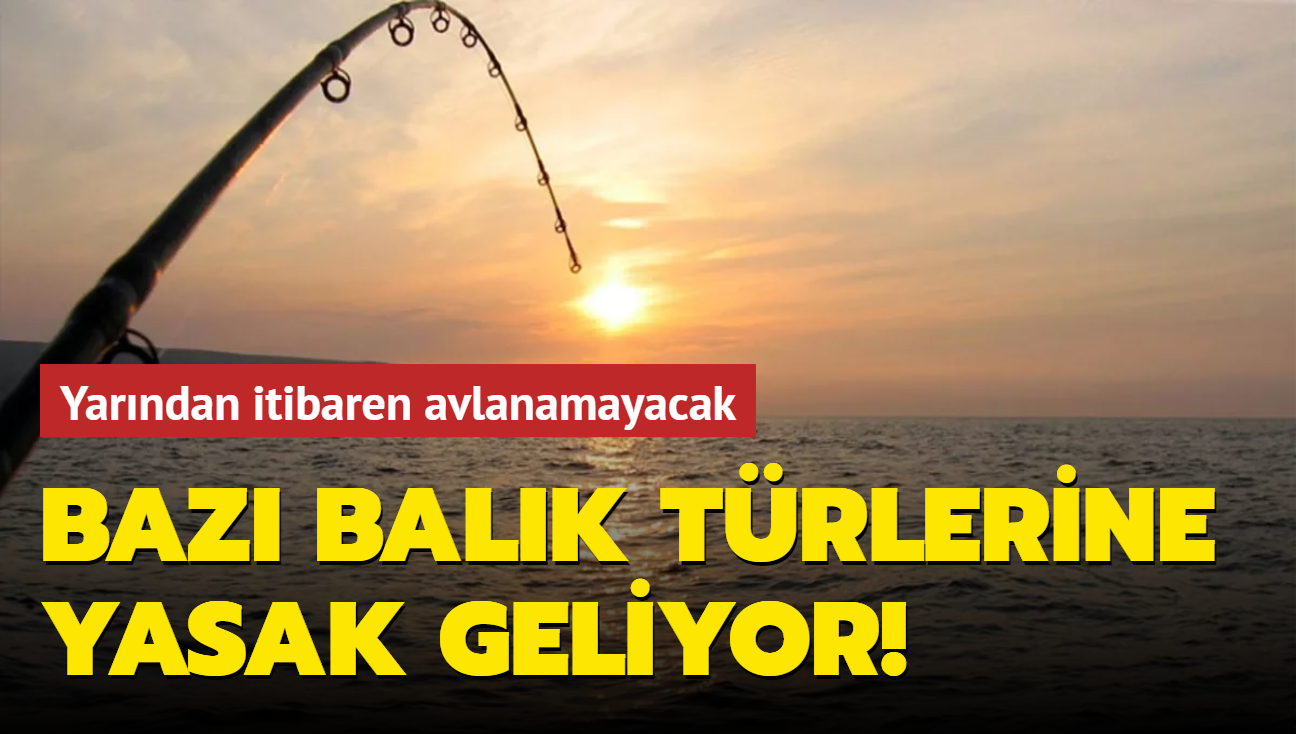 Trkiye genelinde baz balk trlerine av yasa geliyor!