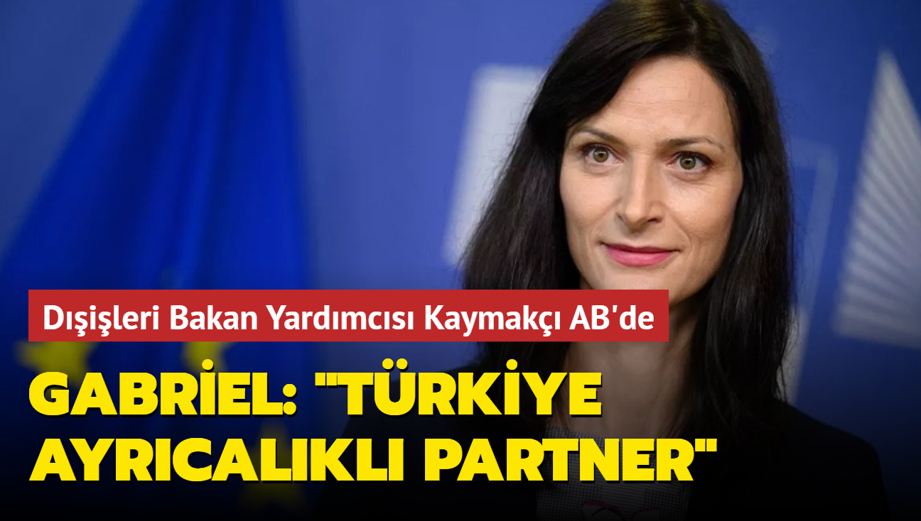 Mariel Gabriel: "Trkiye ayrcalkl partner"