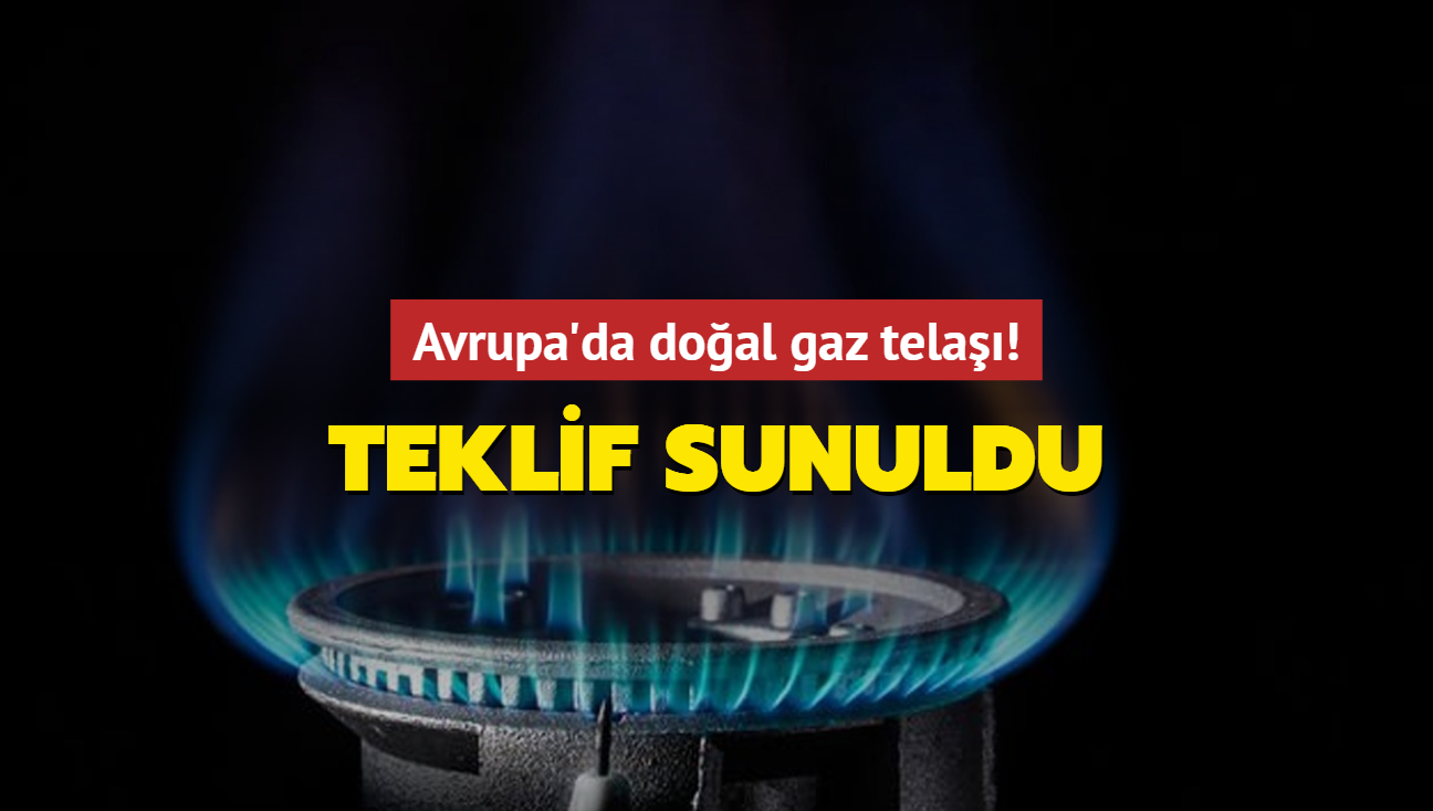 Avrupa'da doal gaz tela! Teklif sunuldu