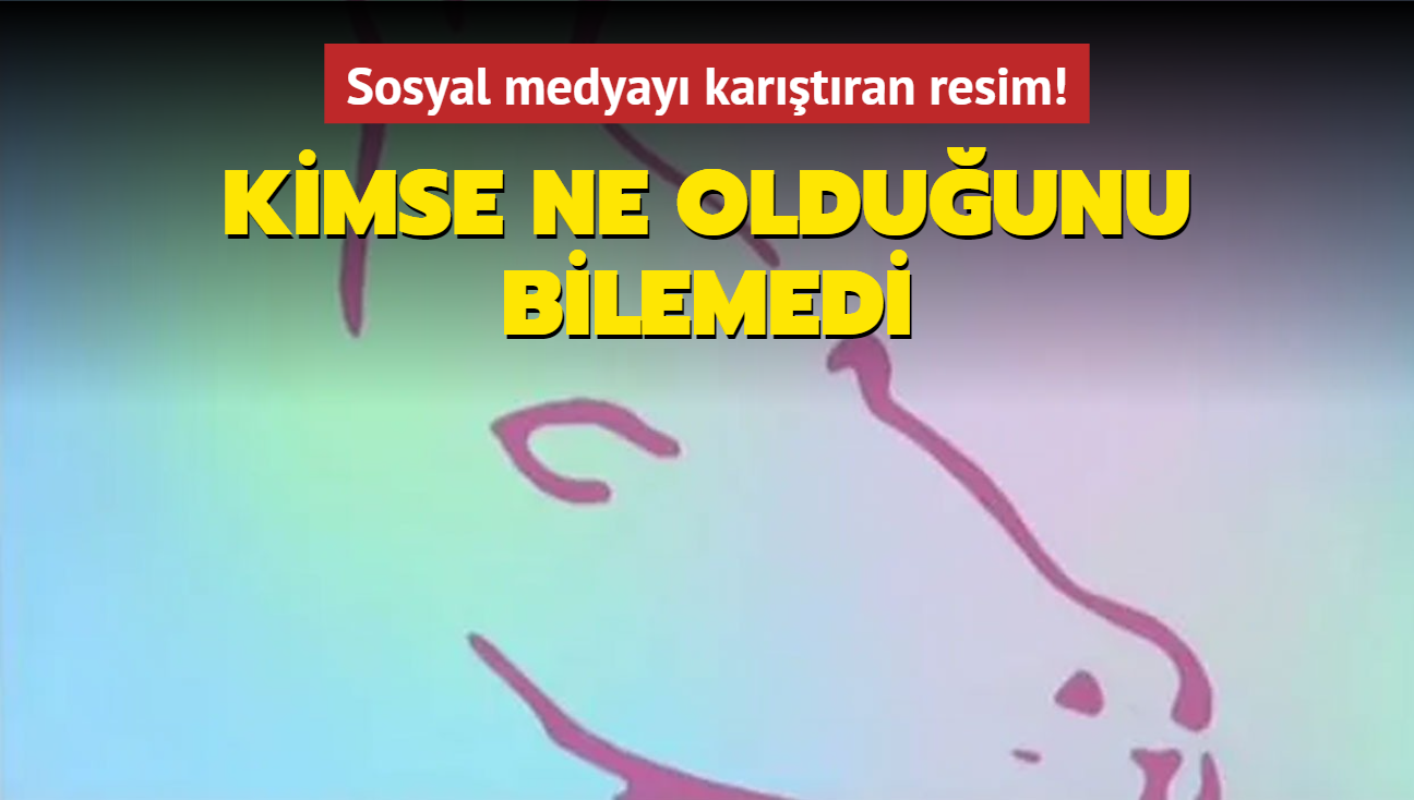 Sosyal medyay kartran resim! Kimse ne olduunu bilemedi