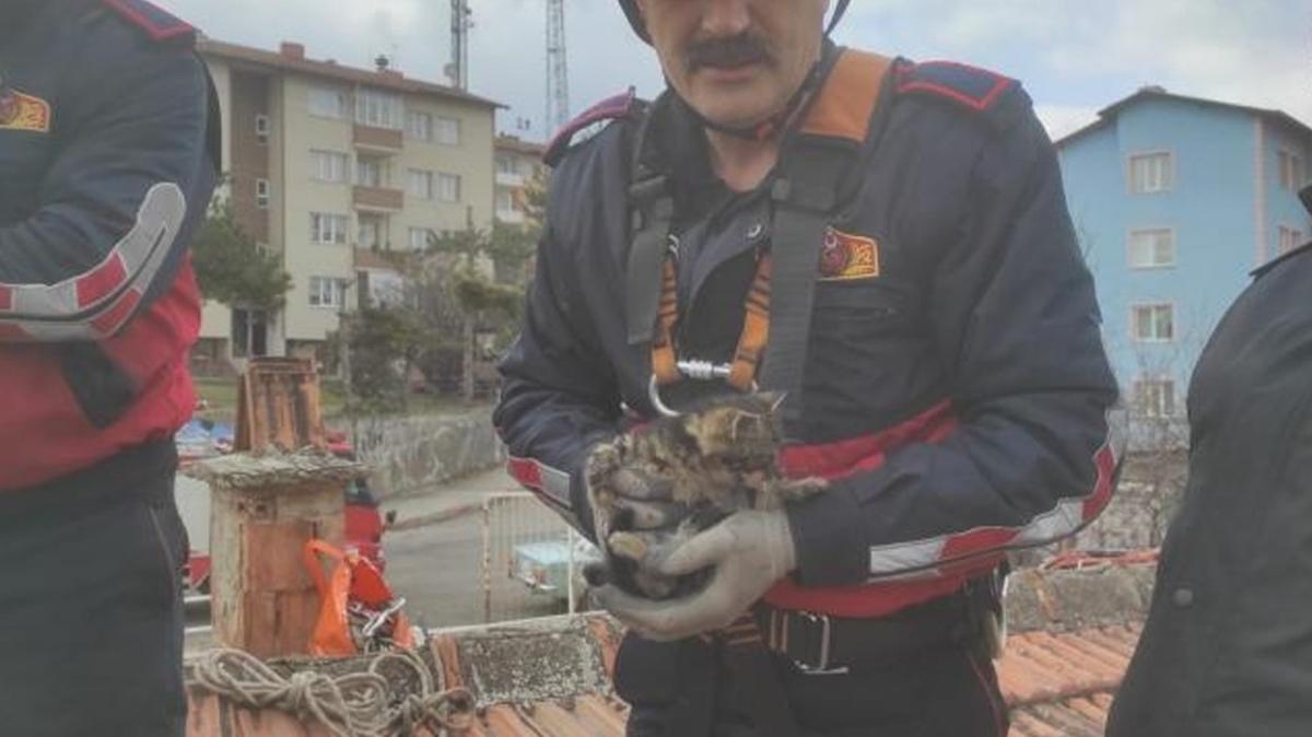 İki gündür 4 metrelik havalandırma boşluğunda kalan kediyi itfaiye ekipleri kurtardı