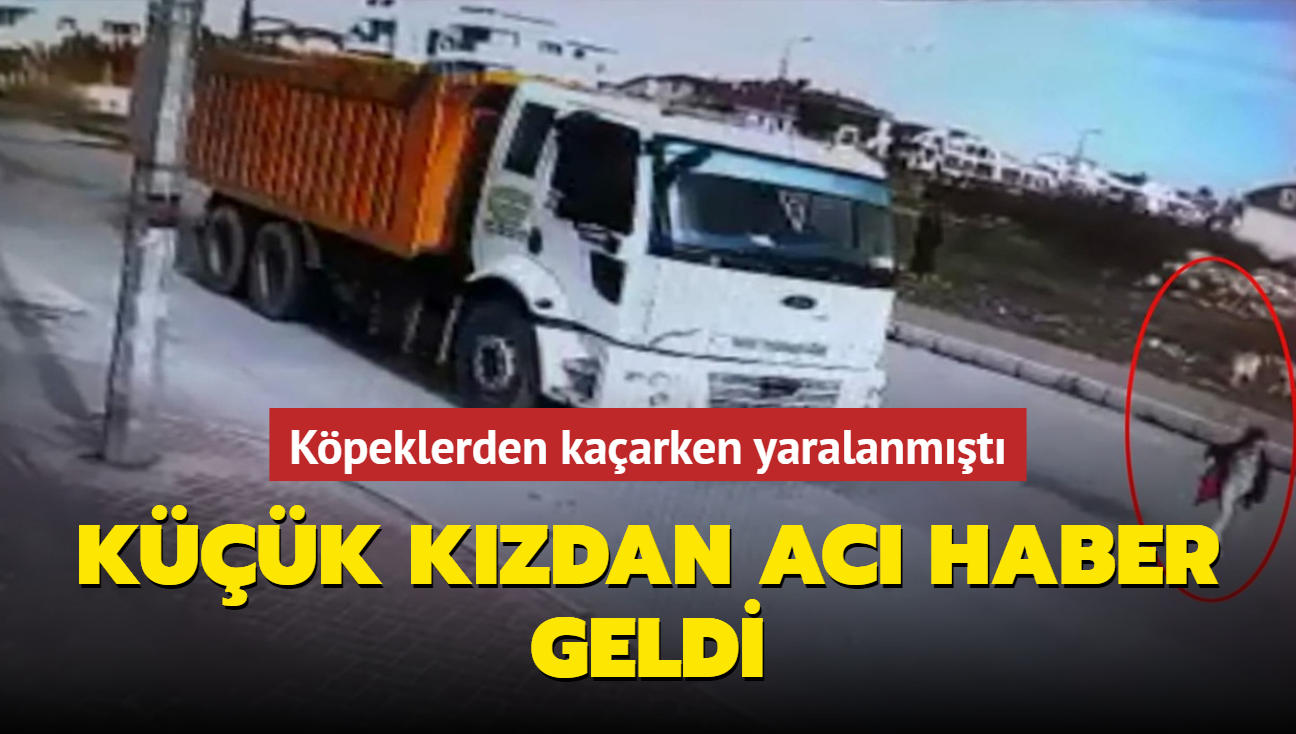 Kpeklerden kaarken yaralanmt...Kk kzdan ac haber geldi