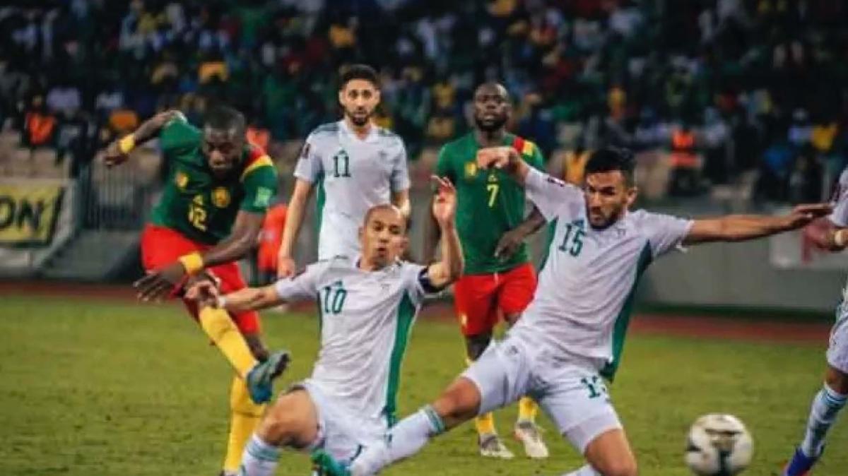 Kamerun'dan ok sonu! Cezayir'i eleyip bileti kaptlar