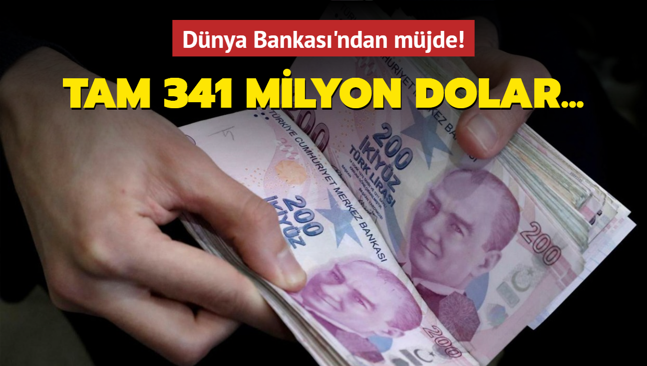 Dnya Bankas'ndan Trkiye'ye destek! Tarm sektrne 341 milyon dolar kredi salayacak