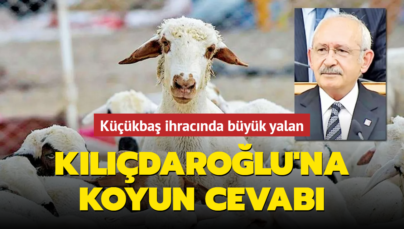 Kemal Kılıçdaroğlu'na koyun cevabı