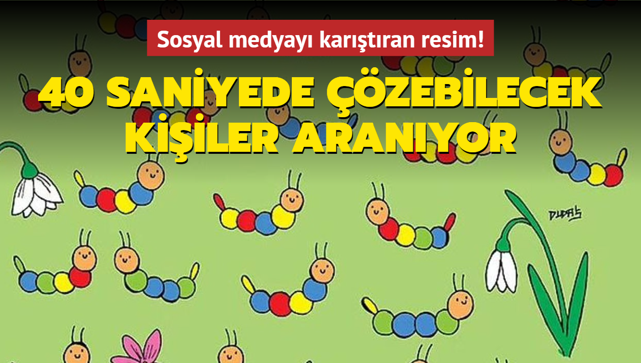 40 saniyede zebilecek kiiler aranyor! Sosyal medyay kartran resim...