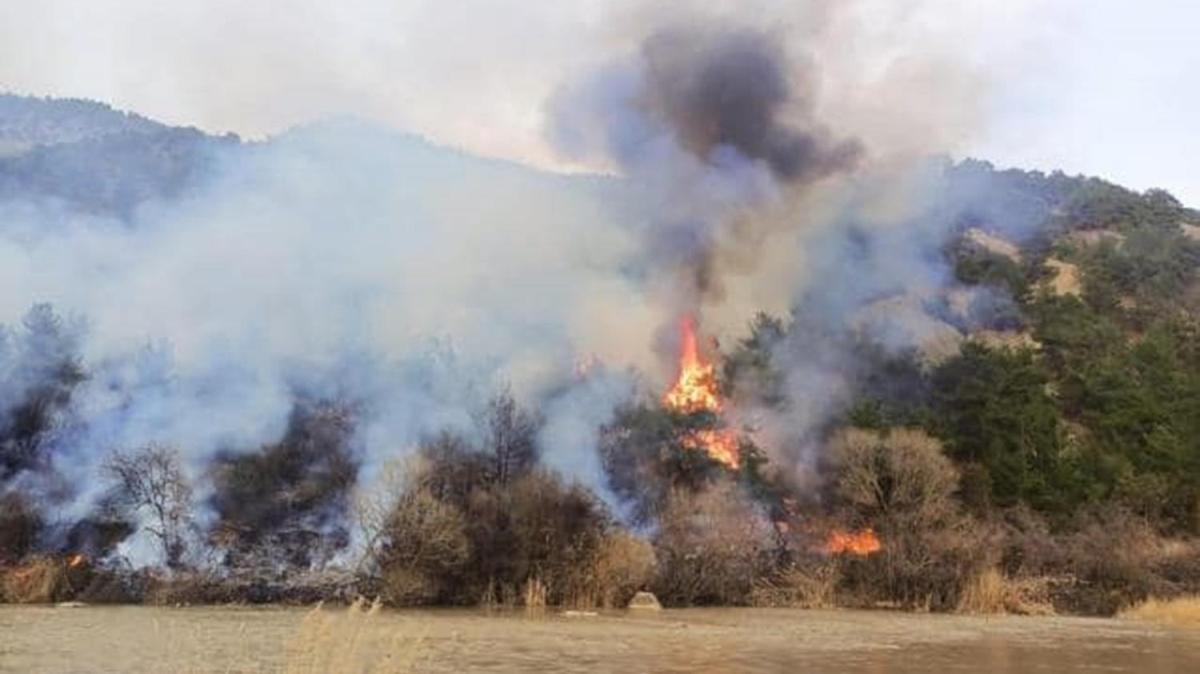 Çorum'da 2 orman yangın çıktı: 11 hektar alan zarar gördü