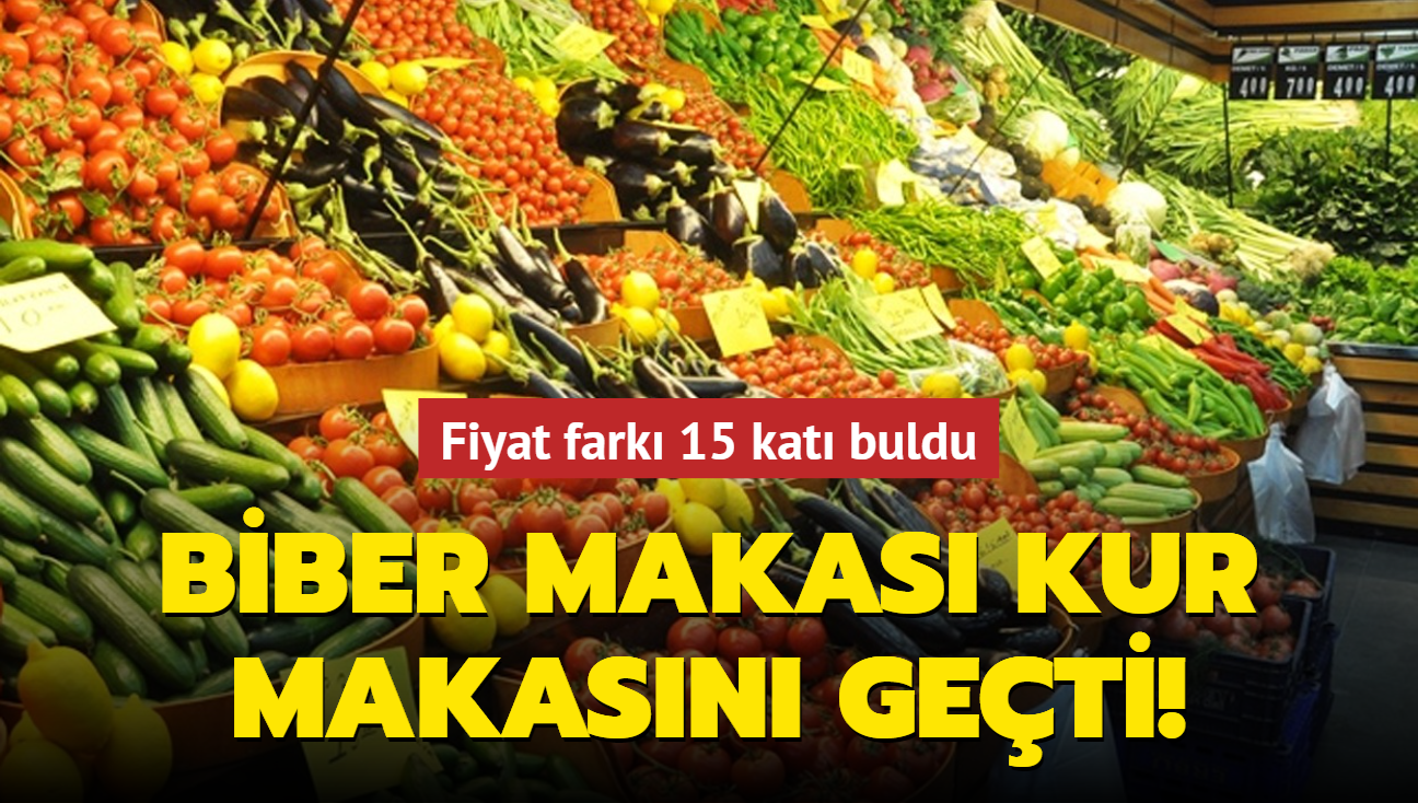 Biber makas kur makasn geti! Fiyat fark 15 kat buldu