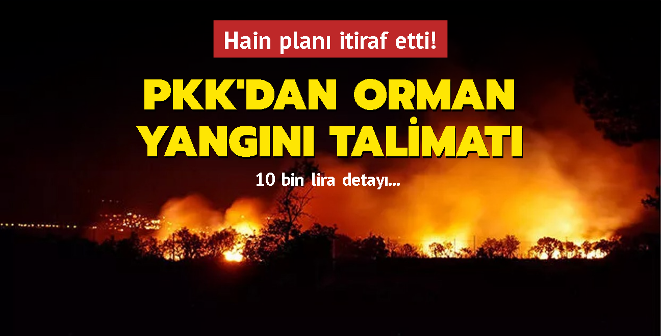 PKK'l terrist itiraf etti... PKK'dan orman yangn talimat! 10 bin lira detay