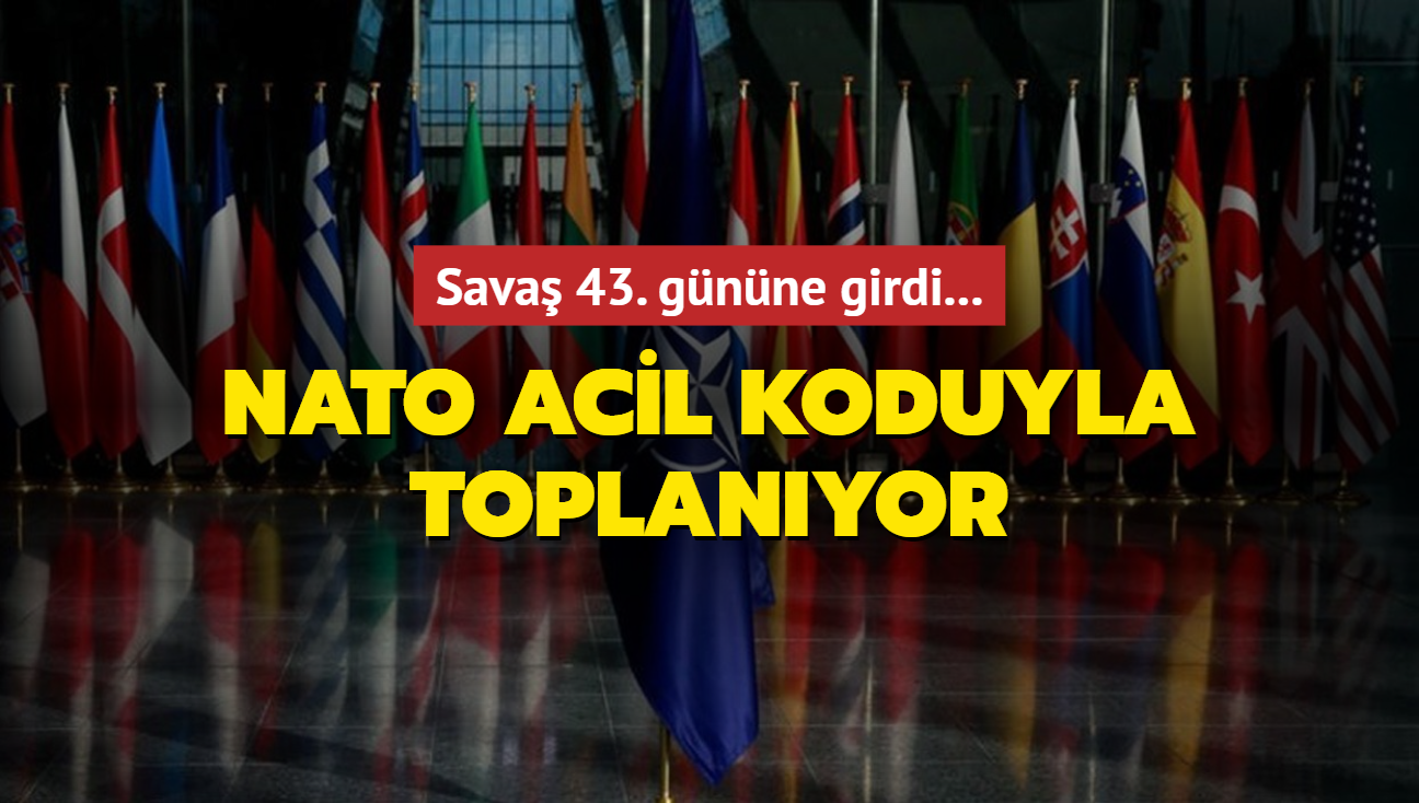 Sava 43. gnne girdi... NATO acil koduyla toplanyor