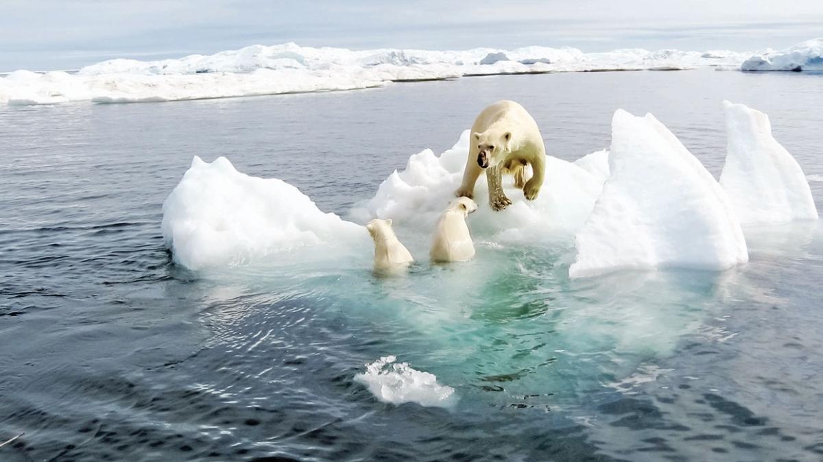 2035'te Arktik Okyanusu buzsuz kalacak