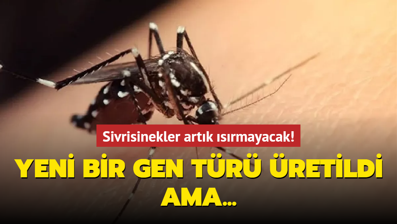 Sivrisinekler artk srmayacak! Yeni bir gen tr retildi ama...