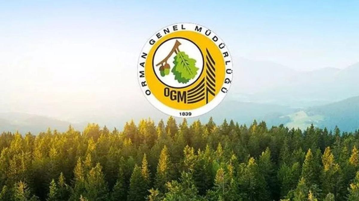Tarm ve Orman Bakanl (OGM) personel alm ne zaman yaplacak" 2022 OGM personel alm bavuru artlar nedir"