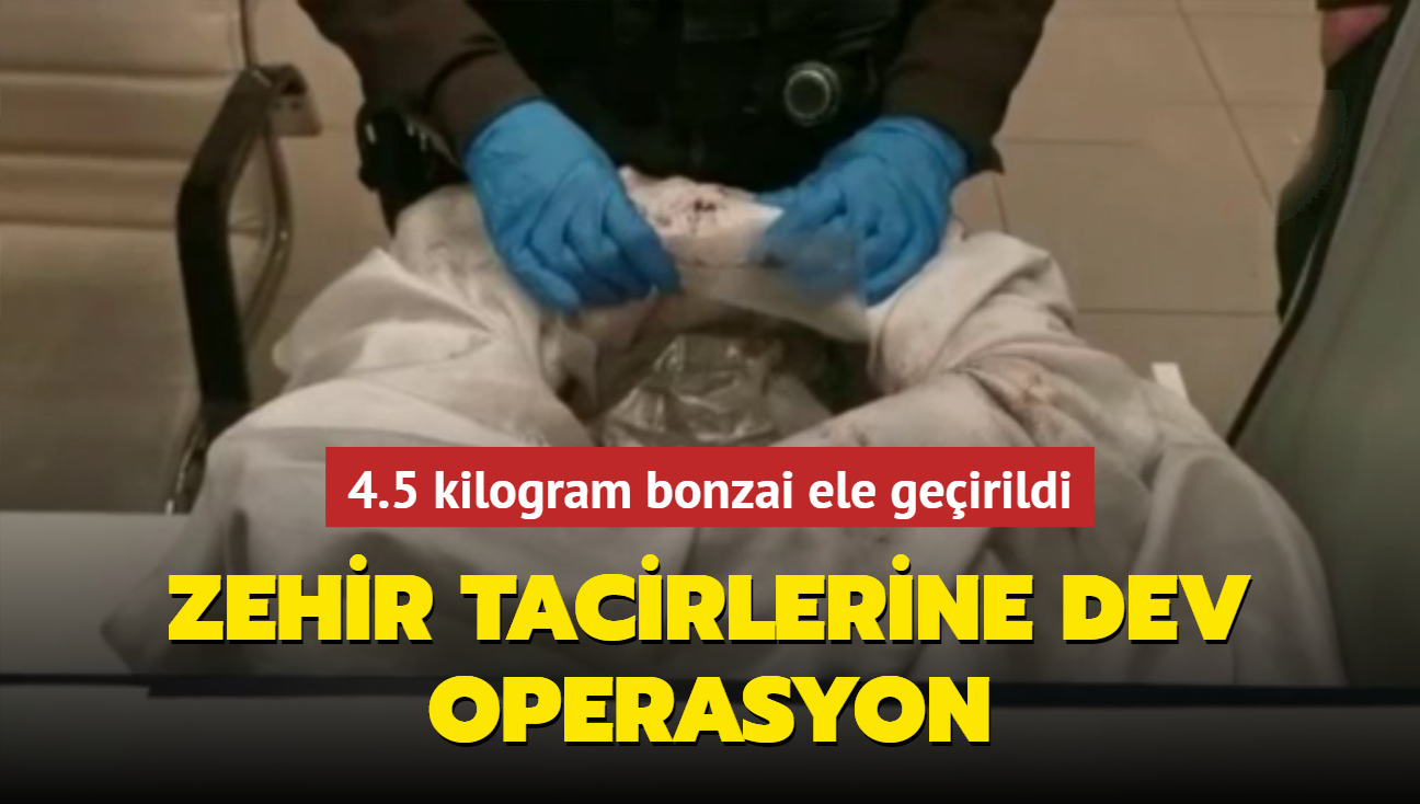 Zehir tacirlerine dev operasyon! stanbul'da 4.5 kilogram bonzai ele geirildi