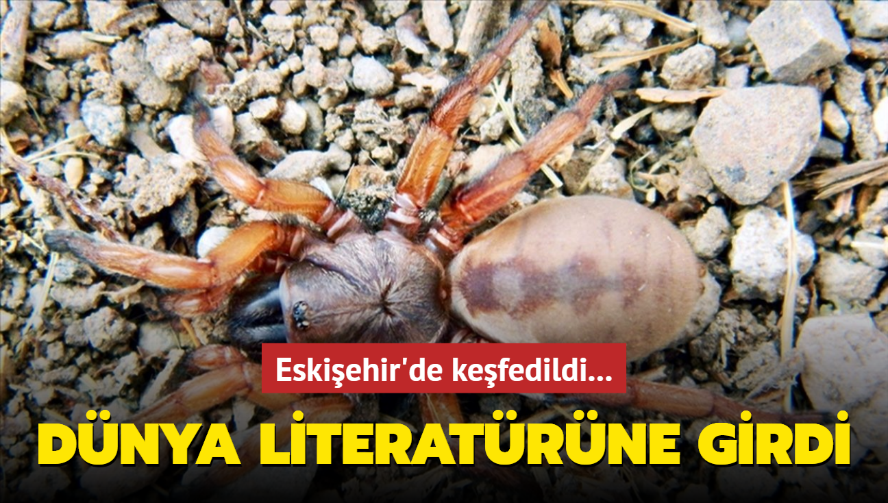 Eskiehir'de kefedildi... Dnya literatrne girdi