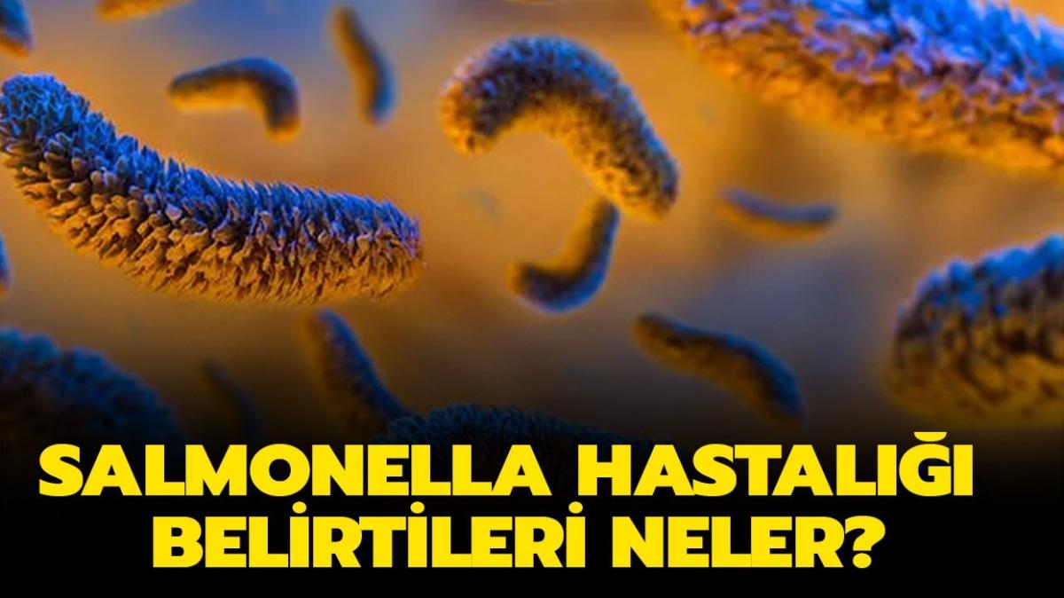 Salmonella hastal belirtileri neler, tedavisi var m" Salmonella nedir" 