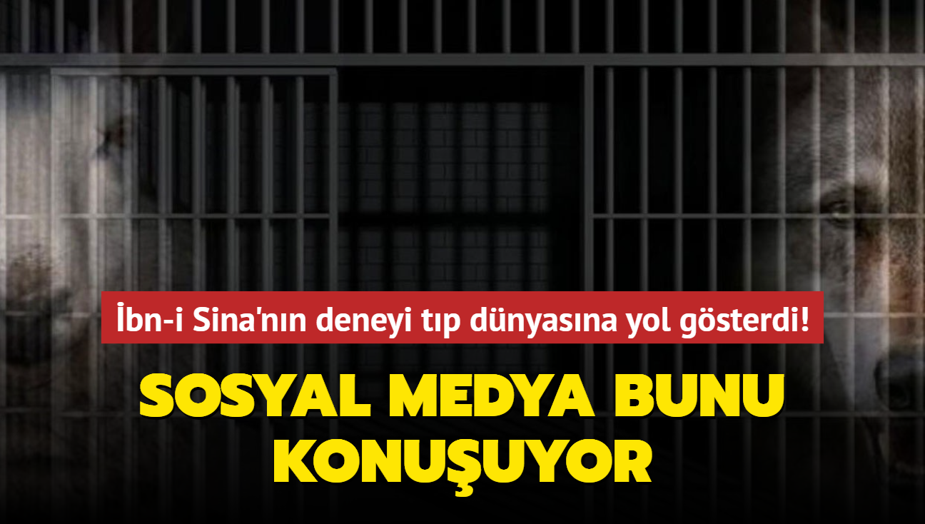 bn-i Sina'nn deneyi tp dnyasna yol gsterdi! Sosyal medya bunu konuuyor