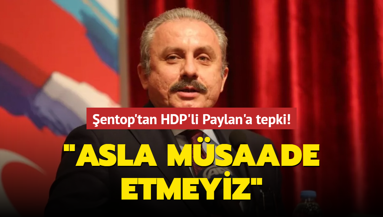 TBMM Bakan entop'tan HDP'li Paylan'n teklifine tepki! "Asla msaade etmeyiz"