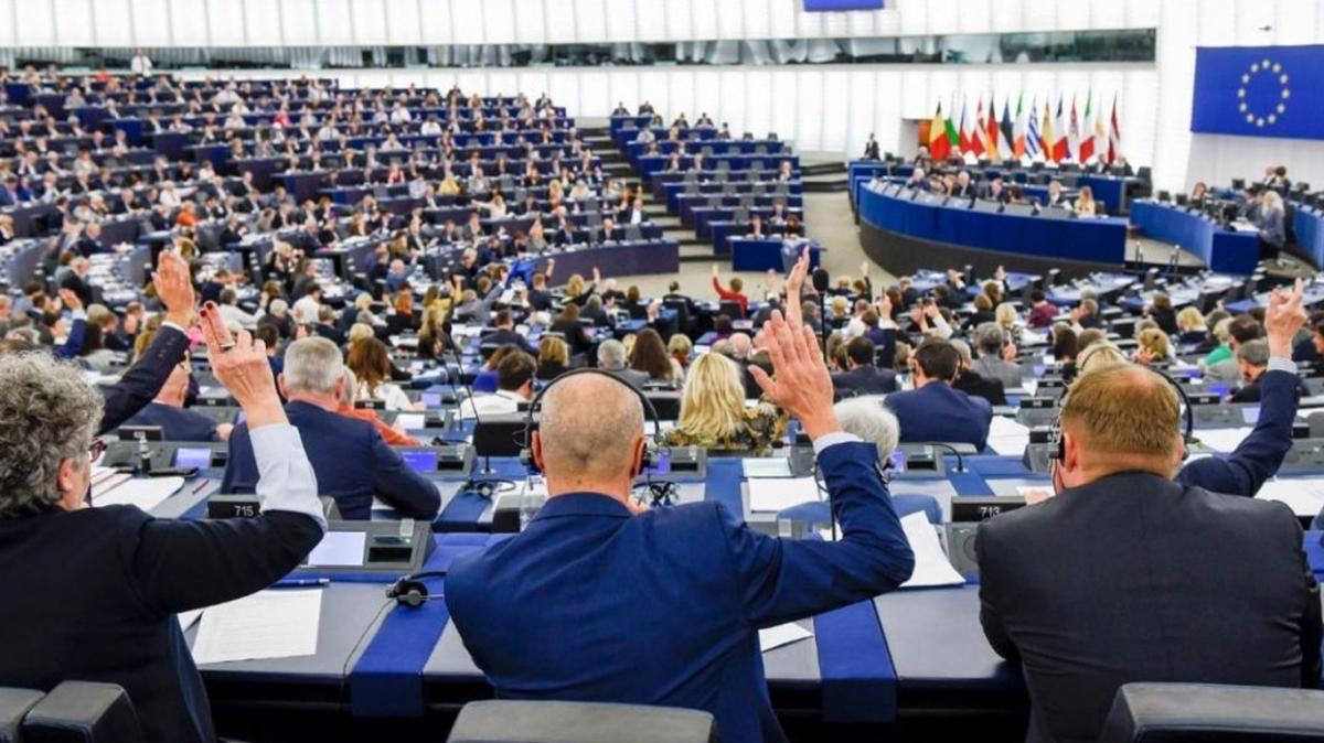 Avrupa Parlamentosu Rusya'ya kar destek istedi