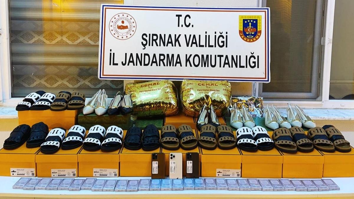 Şırnak'ta geniş çaplı operasyon! 148 şüpheli gözaltına alındı