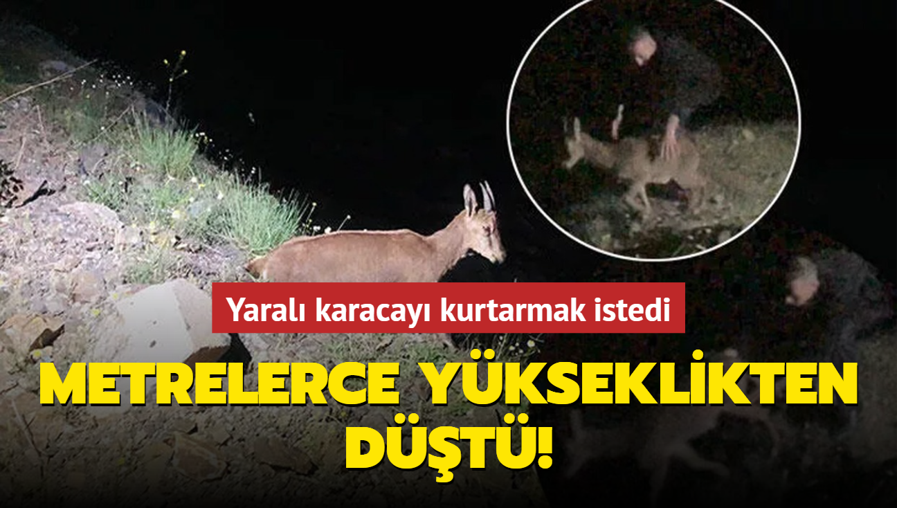 Yaral karacay kurtarmak istedi! Metrelerce ykseklikten dt