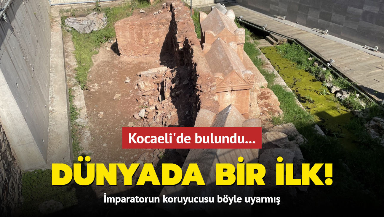 Kocaeli'de bulundu... Dnyada bir ilk!  mparatorun koruyucusu byle uyarm