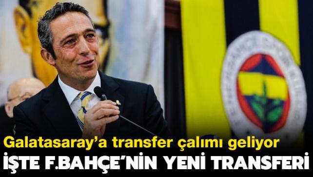 Fenerbahe Berke zer'in yerini imdiden doldurdu! te yeni transfer